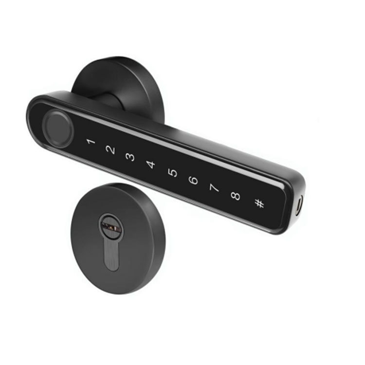 Smart Handle Lock - FM 290