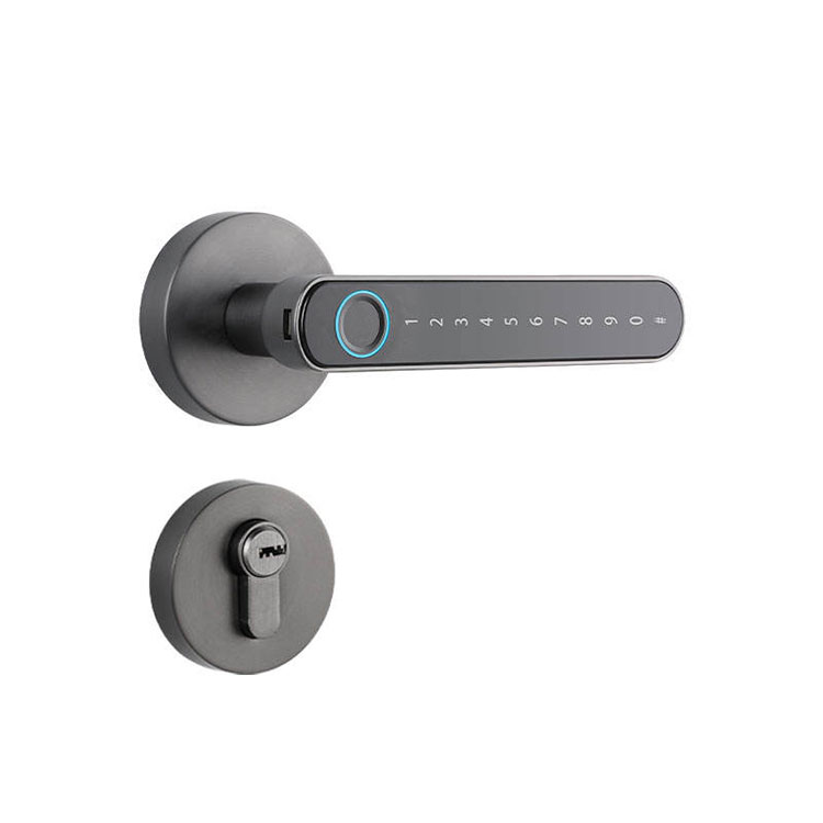 Smart Handle Lock - FM T6