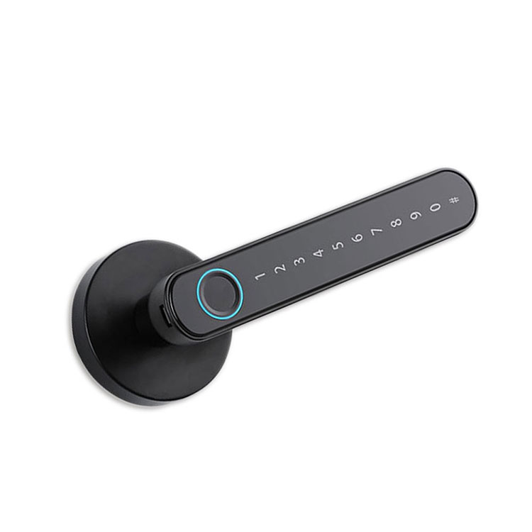 Smart Handle Lock - FM T8